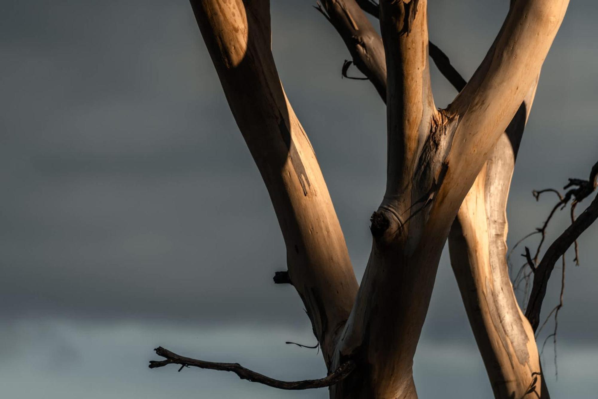 Numie - Freycinet Peninsula - Glamping - Heated - Waterfront Coles Bay
