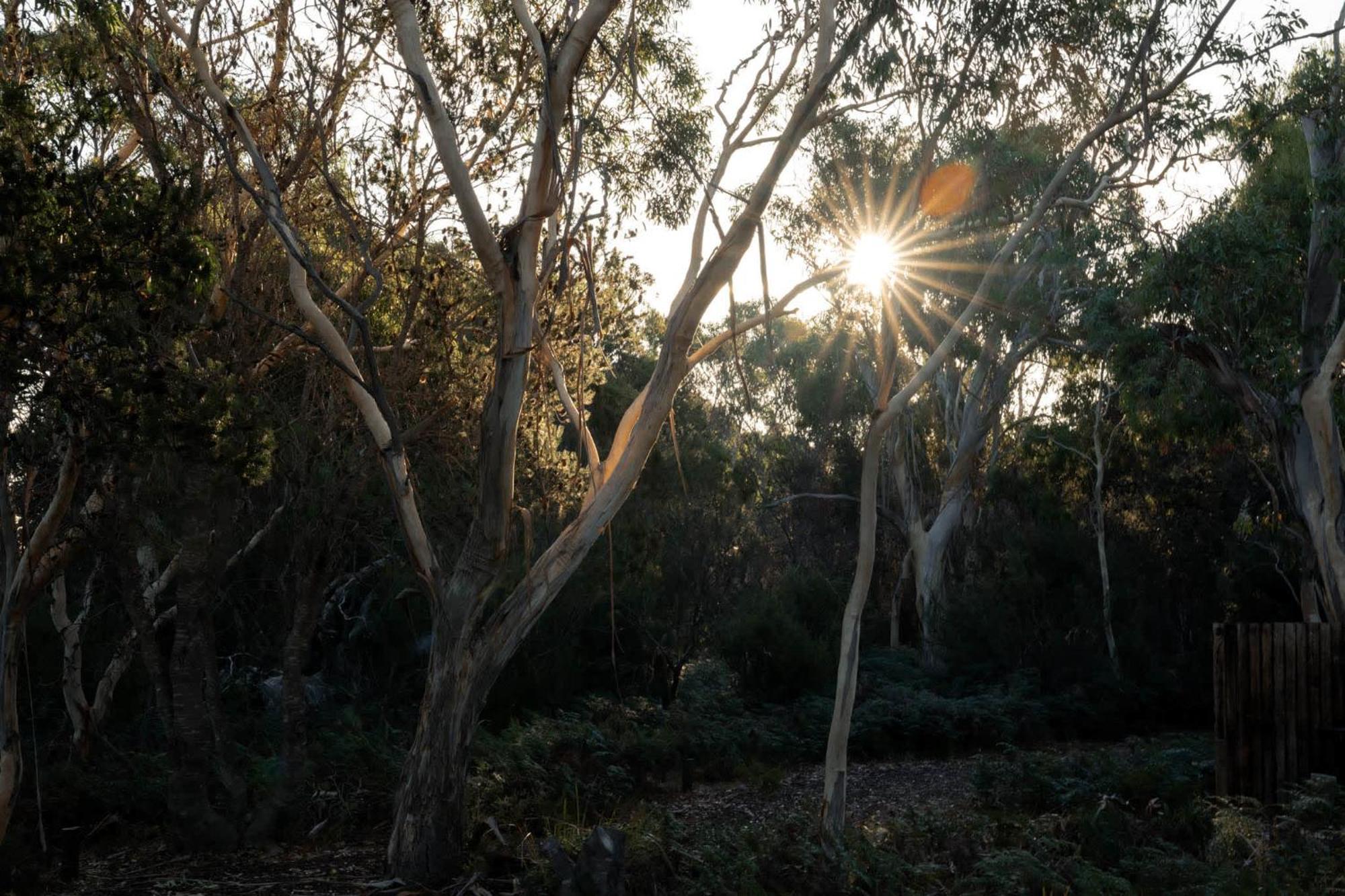 Numie - Freycinet Peninsula - Glamping - Heated - Waterfront Coles Bay