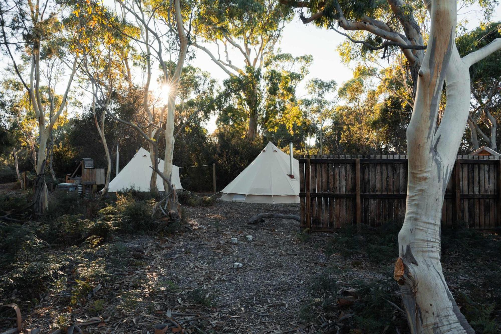 Numie - Freycinet Peninsula - Glamping - Heated - Waterfront *