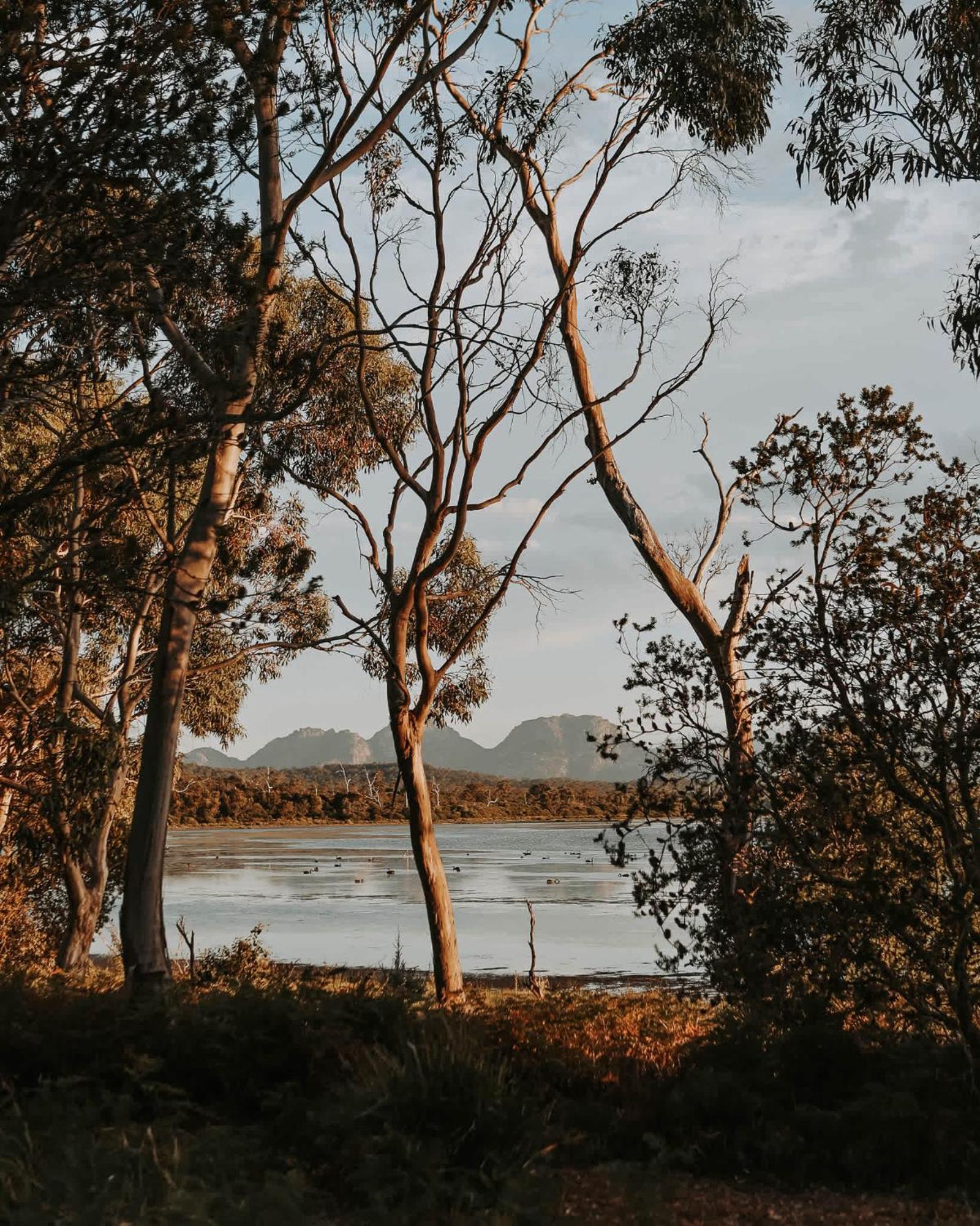 Numie - Freycinet Peninsula - Glamping - Heated - Waterfront Coles Bay